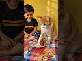 Kid & Cat ! Fun 😄 #funny #fastfood #cartoon #kids #cat #shorts #viralvideo #kahanitoonpur