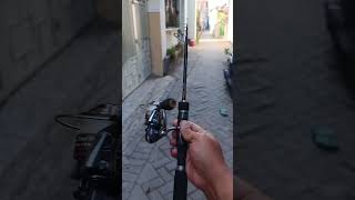 Tegek Orca Lunjar Padi Custom Spining Sxul