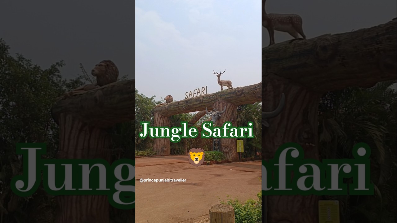 Jungle Safari (Raipur) đŗđĻ || #raipur #junglesafari #travelvlog #vlogs #india #travel #punjabisong Jungle Safari (Raipur) đŗđĻ || #raipur #junglesafari #travelvlog #vlogs #india #travel #punjabisong