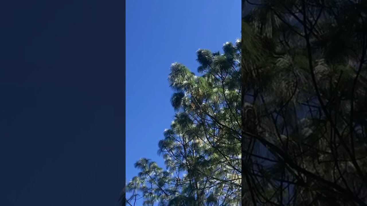 HERMOSA LAGUNA  (LAGUNA CHICHOY) 