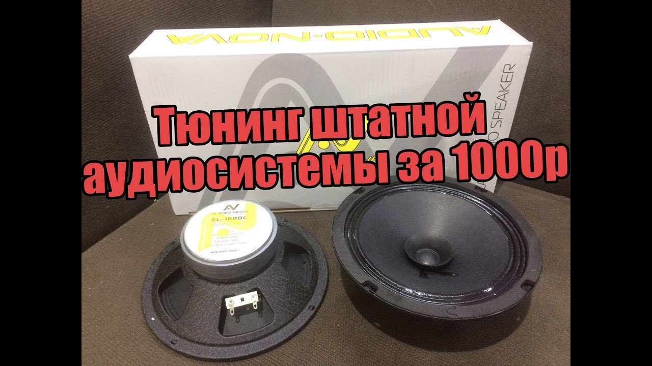 20 динамики в гранту