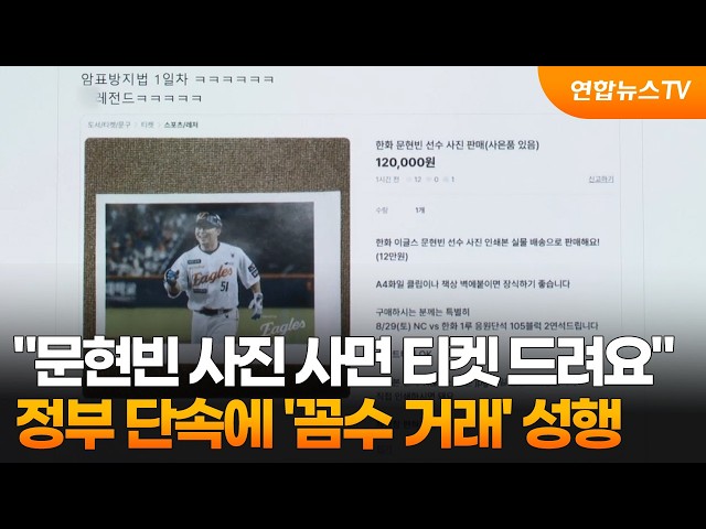 "문현빈 사진 사면 야구 티켓 드려요"…정부 단속에 '꼼수 거래' 성행 / 연합뉴스TV (YonhapnewsTV)