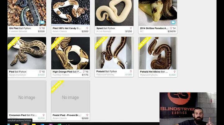 A MORPHMARKET PRO'S HOW-TO GUIDE - 5. Price Comparisons