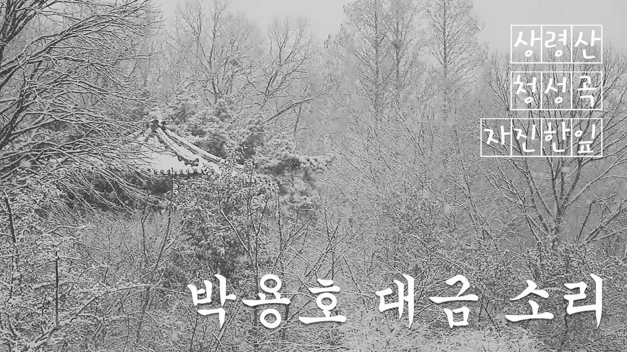 박용호 대금 소리(Park Yongho's Daegeum Sound)(고음질)