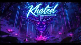 Khaled – C’est La Vie (Trance Remix | Armin van Buuren) – Sound Wave