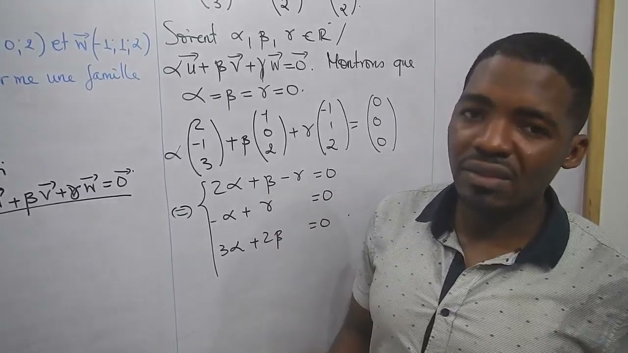 Montrer Qu'une Famille De Vecteurs Est Libre