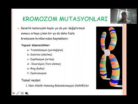 Mutasyonlar II - Kromozom ve Gen Mutasyonları.Part1