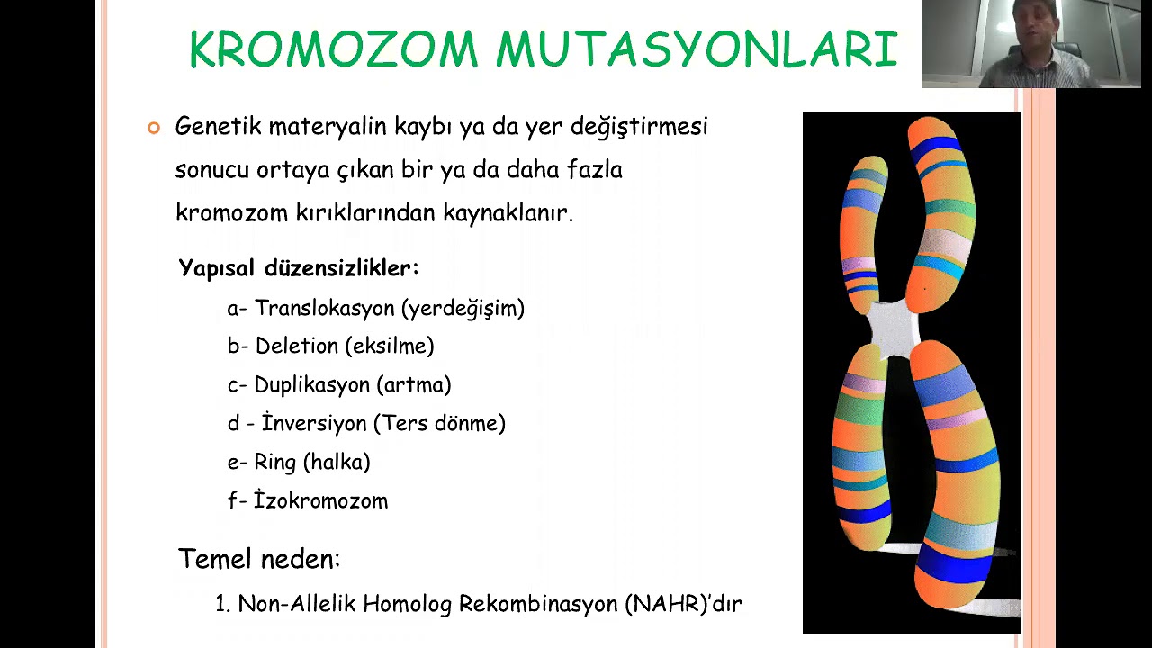Mutasyonlar II - Kromozom ve Gen Mutasyonları.Part1