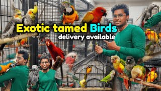 வெளிநாட்டு வினோத பறவைகள்|bird shop in chennai|tamed|Exotic|Xploring