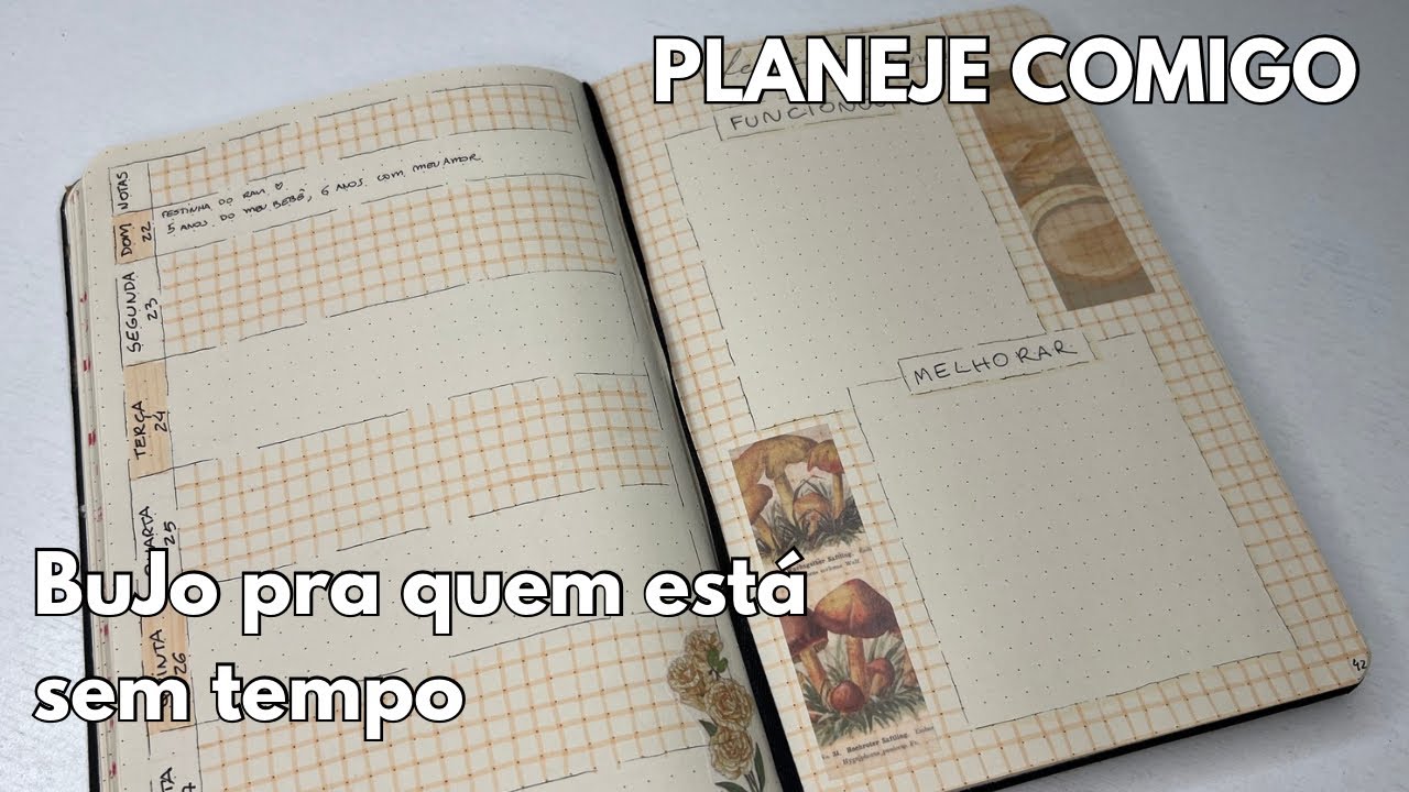 REVIEW DE FEVEREIRO - Layout rápido mas não sem graça 