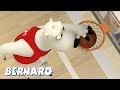 Bernard Bear | Basketball 2 AND MORE | Cartoons for Children