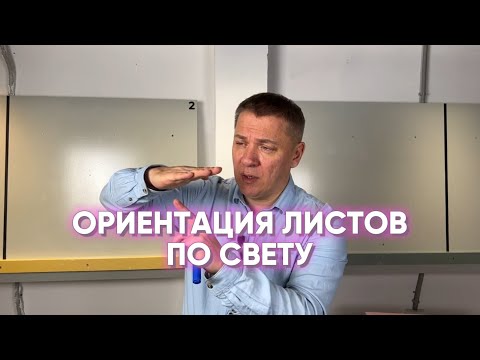 ОРИЕНТАЦИЯ ЛИСТОВ ПО СВЕТУ
