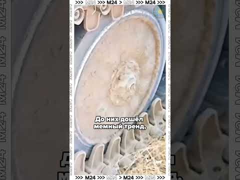 Мотолыга или Бентли что же выбрать? Мемтренд добрался до зоны СВО #москва24