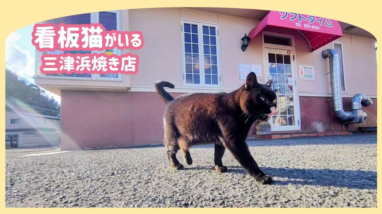 【看板猫🐈】肉々しい三津浜焼きにビックリ丨アニメ聖地とドラマロケ地の梅津寺丨三津の渡し