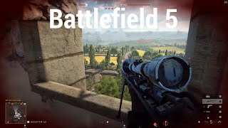 Battlefield 5 Comp