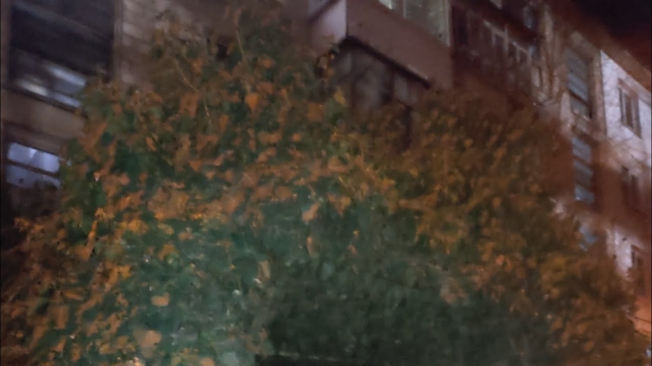 Песня 4с, ПРИЗРАКИ ПРОШЕДШЕГО 