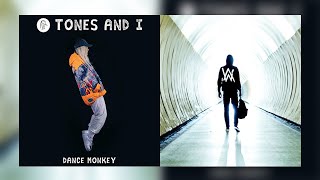 Alan Walker & Tones And I - Faded / Dance Monkey (Remake Mashup)