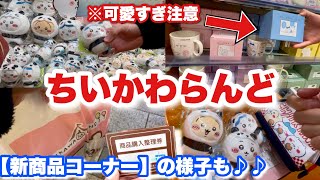 ちいかわらんどにて購入した正規品タグ付き ちいかわらんど【公式】 on X: 