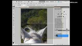 Photoshop refine edge command