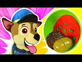 ¡Salsa de jitomate para los PAW PATROL! Recetas fáciles en la cocina para niños. Videos infantiles