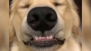 | 9GAG | Golden boi selfie
