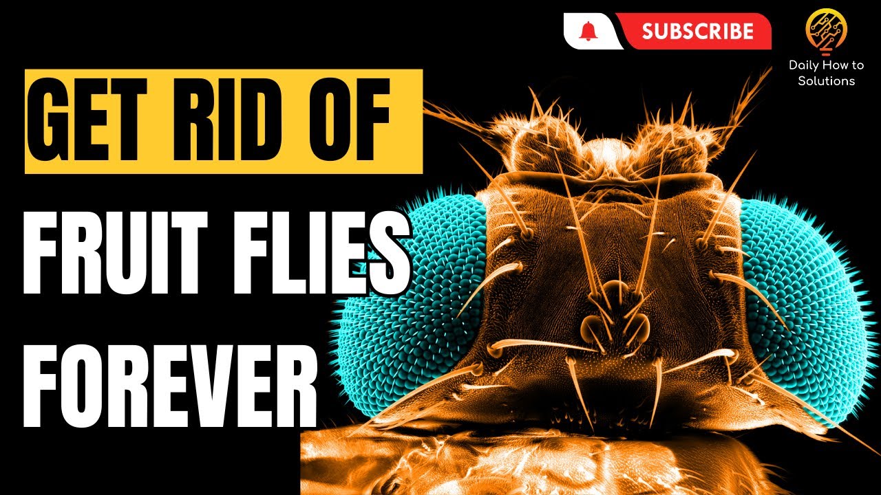 How to Get Rid of Fruit Flies Easy and Effective Methods #fruitflies # ...