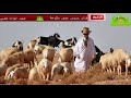 من قصائد الشاعر الكبير زياني بلقاسم ولاية الجلفة 