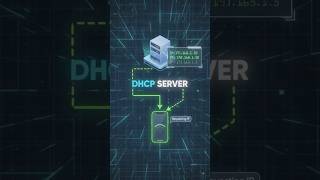 🌐 DHCP Explained | Automatic IP Address Assignment