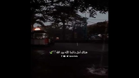 عبد الرحمن مسعد | سورة االنحل | تلاوه خاشعة 😍🥰