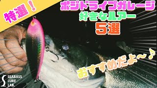【水中映像】ポジドライブガレージのおすすめルアーを5つ厳選してみた!【シーバスルアー】【RED中村】