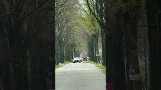 Niemand Heeft Hier Voorrang En Toch Gaat Het Vaak Fout