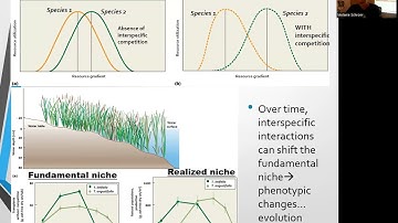Interspecific Interactions, Video 1