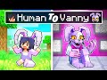 From human to vanny story in minecraft