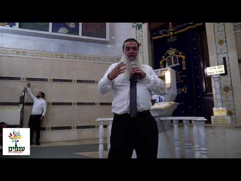 הרב יגאל כהן בחדרה! - כנס ענק וטיפים לחיים - שידור חי HD