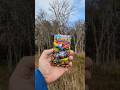 Pokémon Mega Evolution x Cooper Lake State Park Doctors Creek Unit - Cedar Creek East Loop Trail