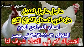 اسعار الفراخ البيضاء اليوم اسعار الدواجن اليوم الثلاثاء ٢١-١١-٢٠٢٣ في مصر