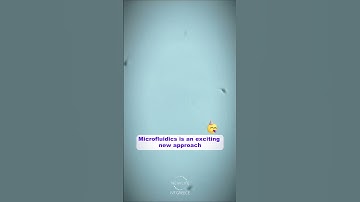 Modern Sperm Selection 🔬