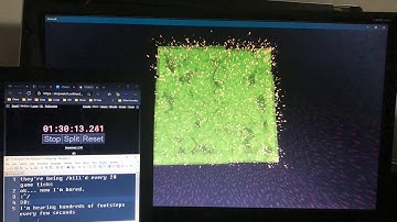 Programmer