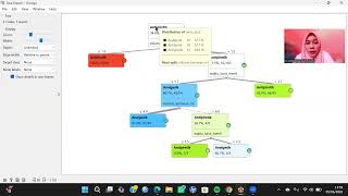 Decision Tree untuk Klasifikasi Data Menggunakan Orange dan Python Colab