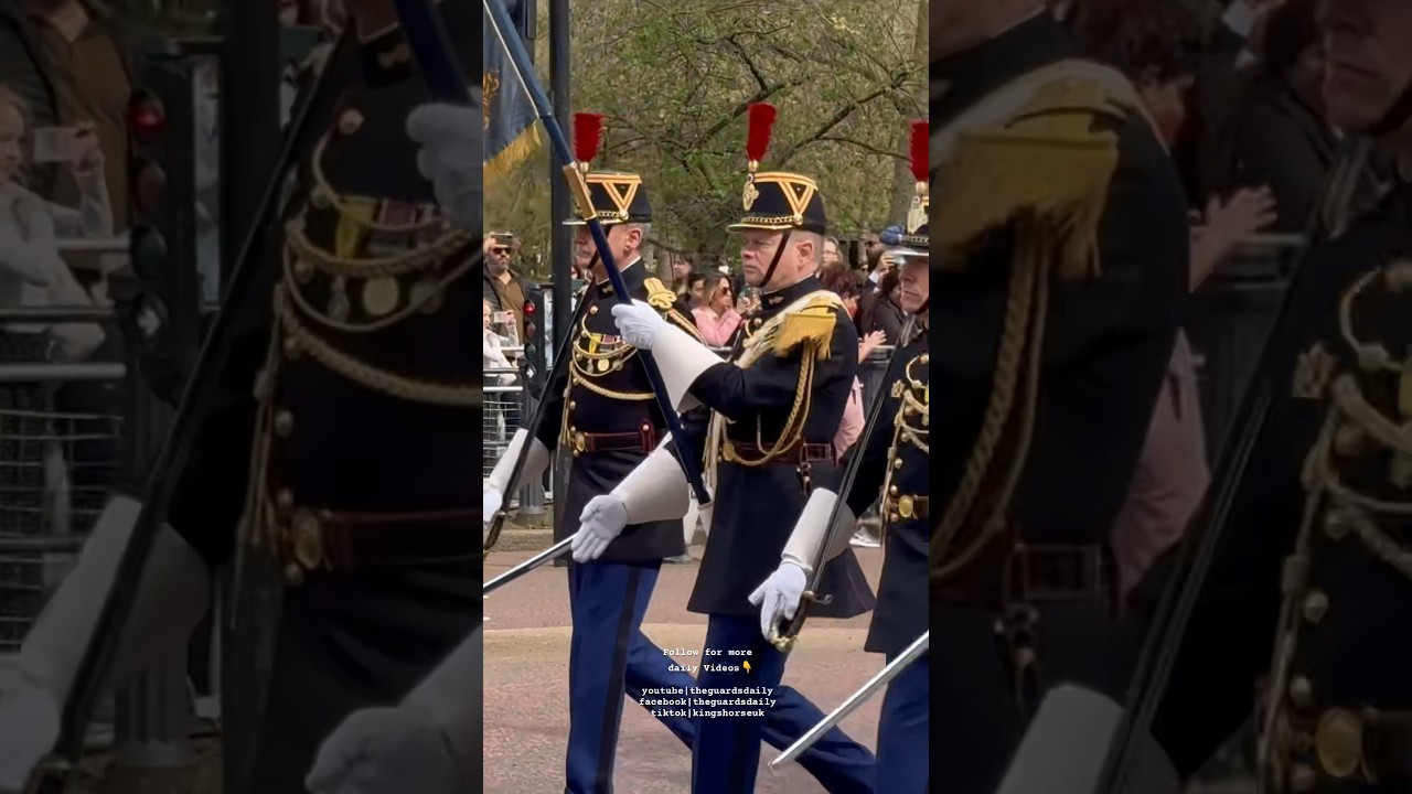 The French Marching Side by Side with the British Military at Buckingham Palace London