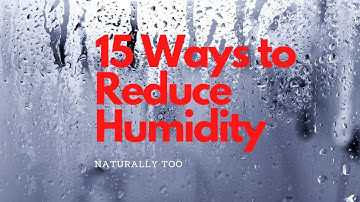 15 Ways to Reduce Humidity in Your House
