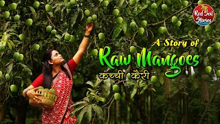 Raw Mango Recipes -Traditionally made | Maharashtra Traditional Life | Red Soil Stories | Pickles
