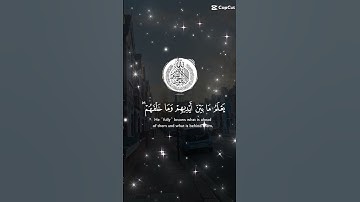 تلاوة خاشعة  مباركة للشيخ سعد الغامدي ماتيسر من سورة البقرة