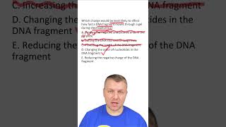 MCQ: Gel Electrophoresis