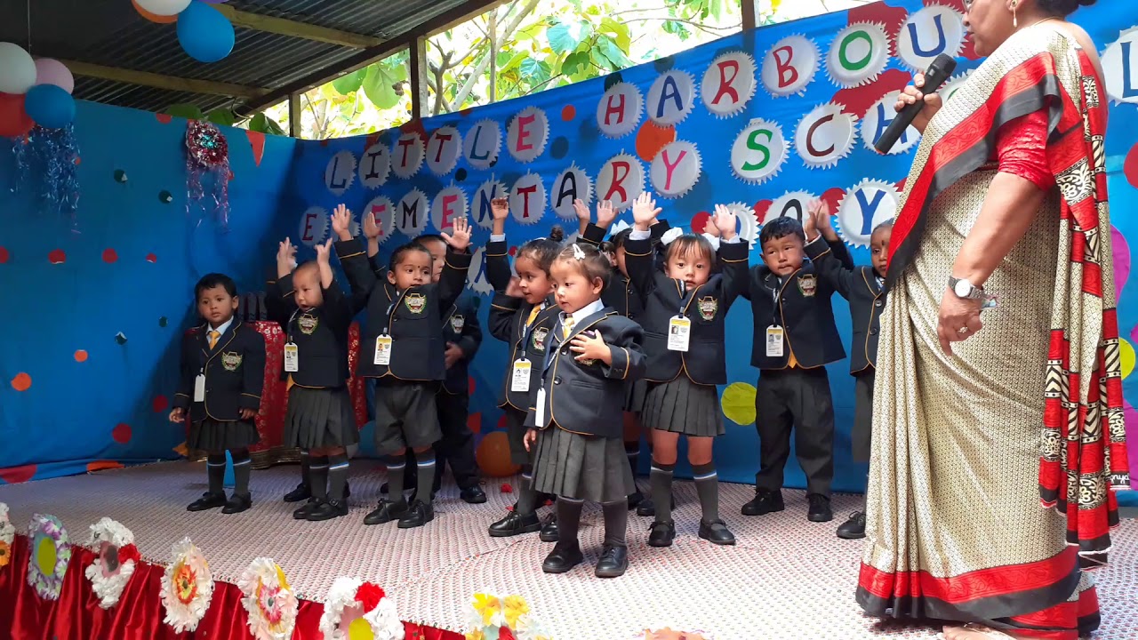 Little Harbour Elementary School YouTube