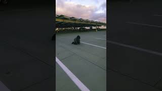 upgraded my bike #surron #edit #transition #bikelife #bike #ebike #ebikes #automobile #mydevice