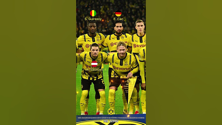 Borussia Dortmund vs Shakhtar Donetsk || Uefa Champions League 24/25 || Round 08 || Dortmund Squad