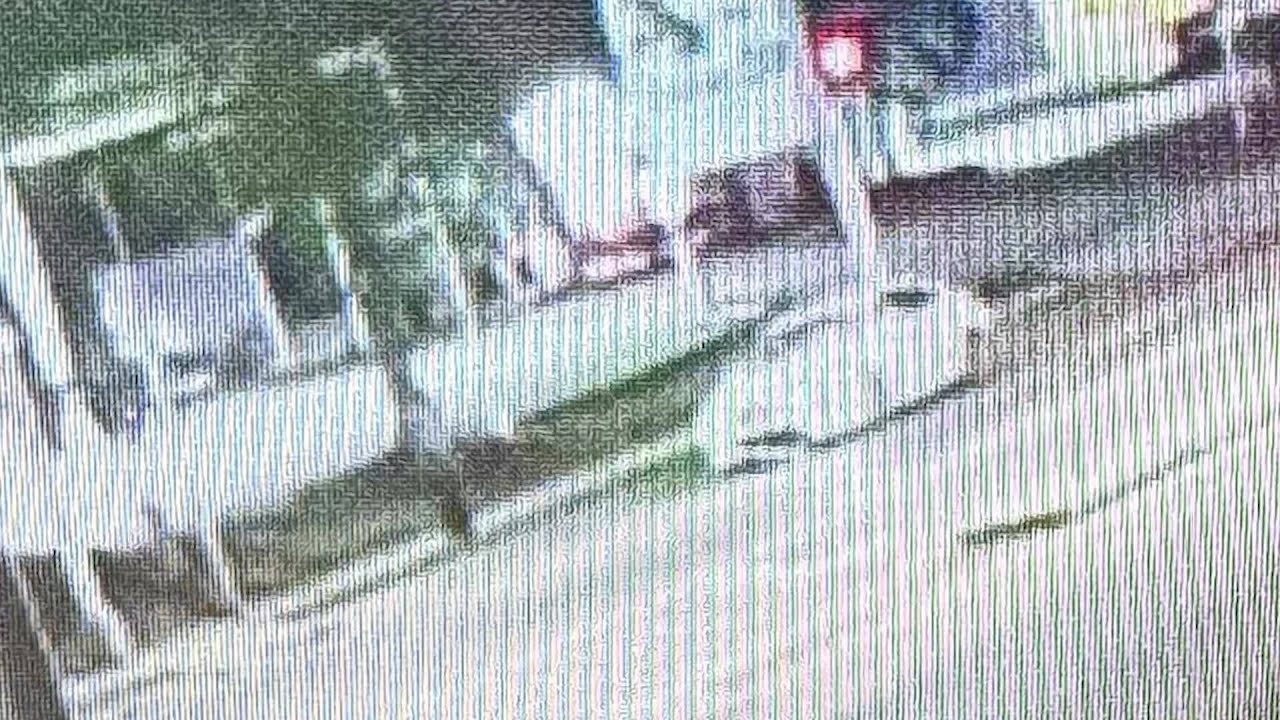 911 calls released in deadly Sarasota hit-and-run crashing involving ...
