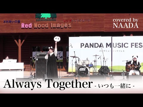 フルカバー/歌詞】Always Together(いつも一緒に) 宮川真奈美