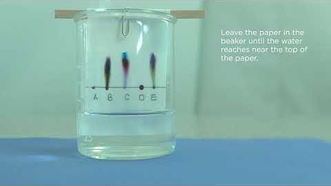 Edexcel Core Practical 9-1 GCSE C2.11 The Composition of inks using paper chromatography